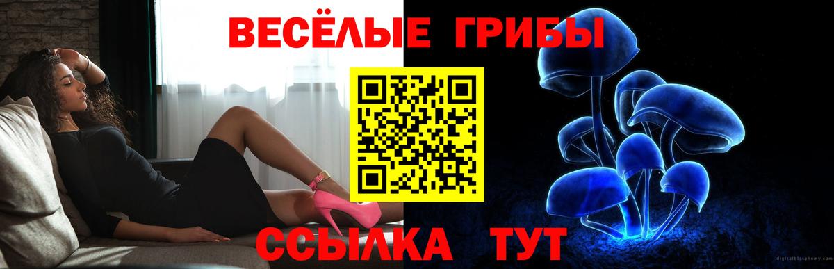 Псилоцибиновые грибы мицелий  Вход с VPN  Трёхгорный  Псилоцибиновые грибы GOLDEN TEACHER 